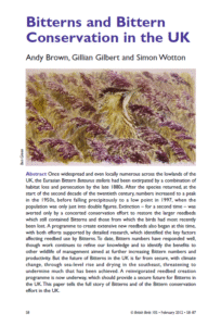Bitterns and Bittern Conservation in the UK – British Birds